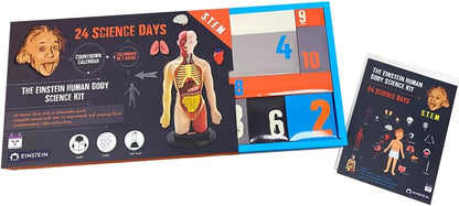日英美直送  Einstein Human Body Science STEM Experiments Advent Calendar 聖誕倒數日曆 兒童款 聖誕快樂特輯 不參與$900免運 滿$900可加$25免運到順豐站/智能櫃 Christmas Advent Calendars 2026