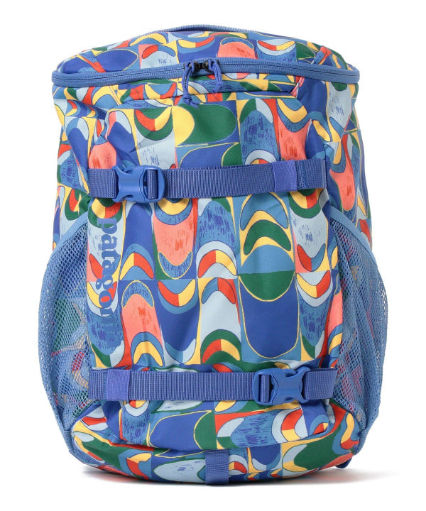 BEAMS x Patagonia Backpack Series (Other Brands) Direct from Japan 