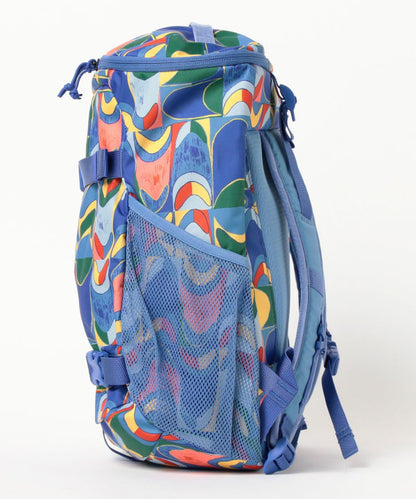 BEAMS x Patagonia Backpack Series (Other Brands) Direct from Japan 