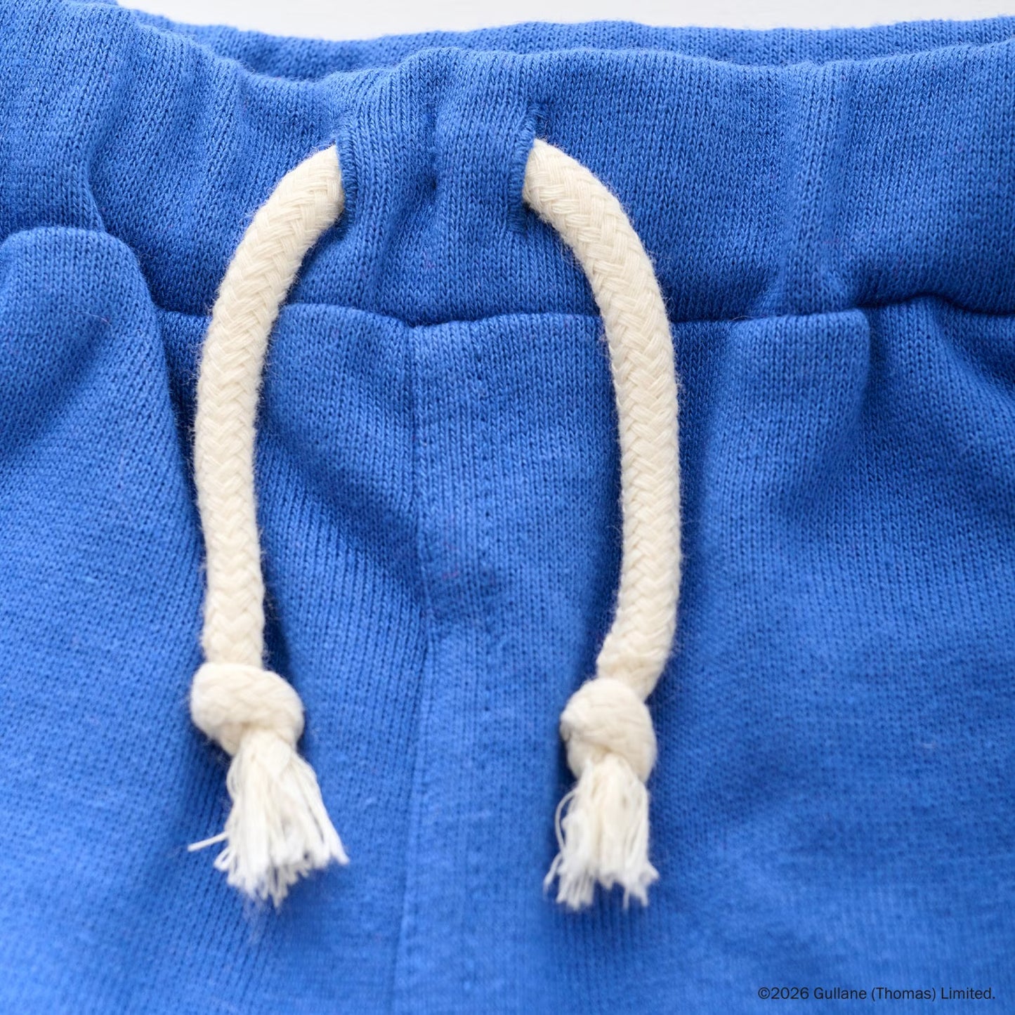 日本童裝 pe#main x Thomas 運動短褲 80-130cm 男童款 夏季 PANTS
