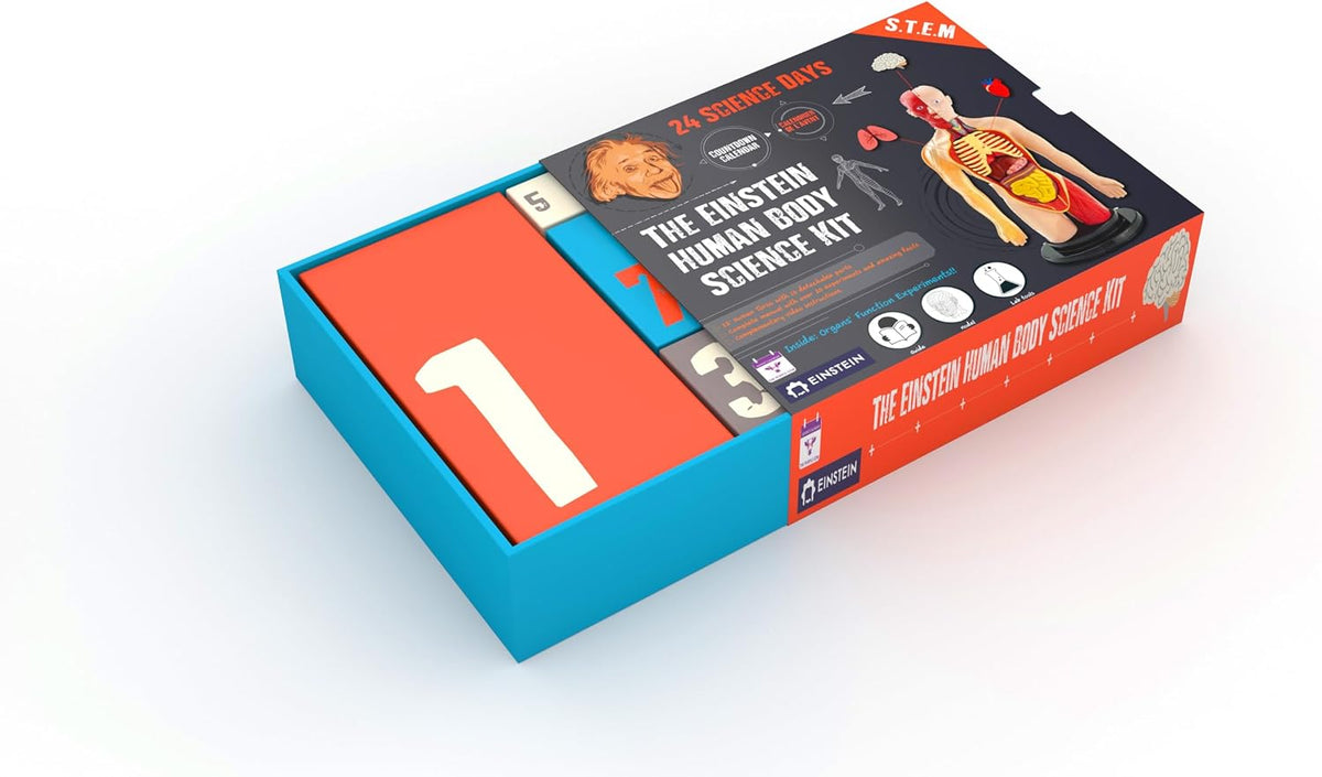 日英美直送  Einstein Human Body Science STEM Experiments Advent Calendar 聖誕倒數日曆 兒童款 聖誕快樂特輯 不參與$900免運 滿$900可加$25免運到順豐站/智能櫃 Christmas Advent Calendars 2026