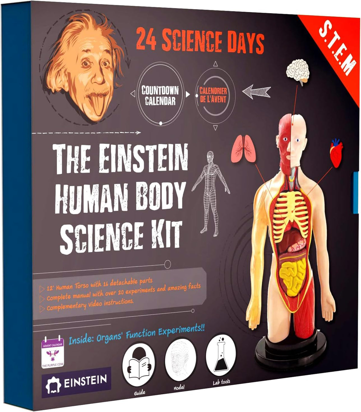 日英美直送  Einstein Human Body Science STEM Experiments Advent Calendar 聖誕倒數日曆 兒童款 聖誕快樂特輯 不參與$900免運 滿$900可加$25免運到順豐站/智能櫃 Christmas Advent Calendars 2026