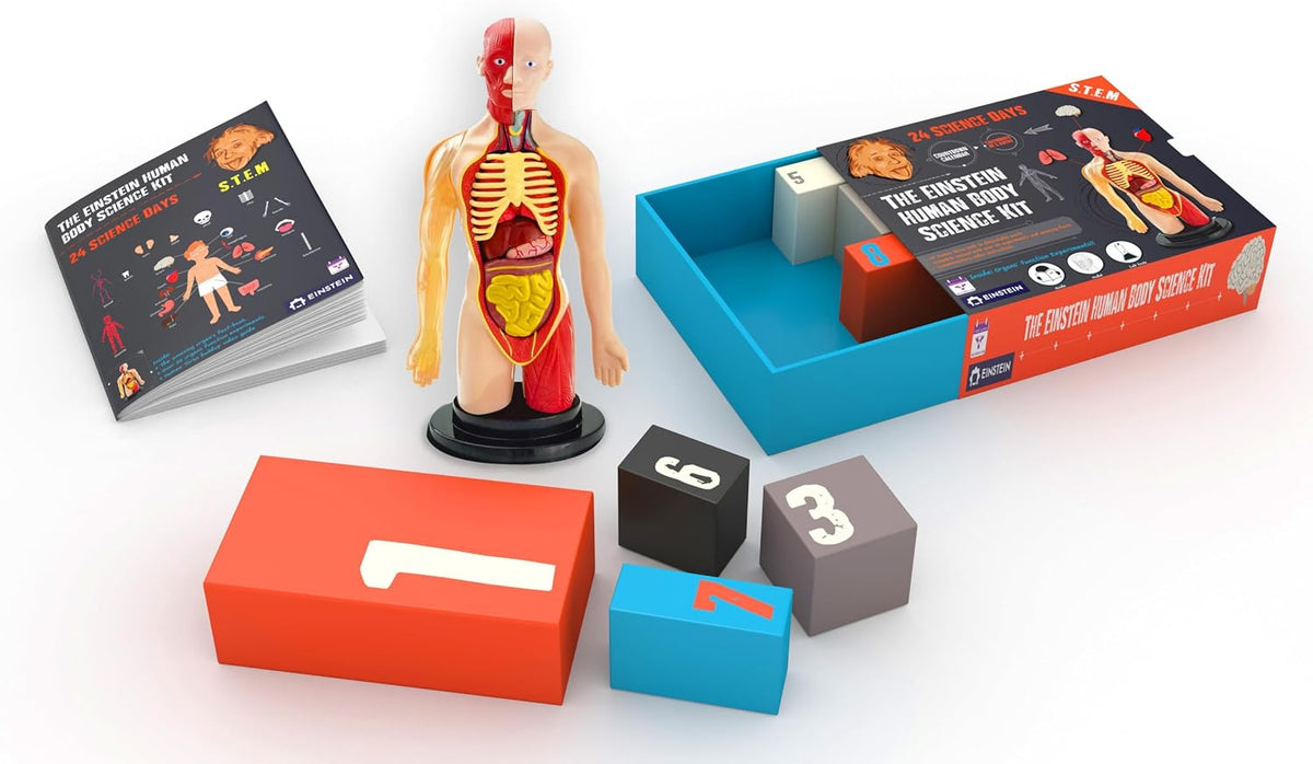 日英美直送  Einstein Human Body Science STEM Experiments Advent Calendar 聖誕倒數日曆 兒童款 聖誕快樂特輯 不參與$900免運 滿$900可加$25免運到順豐站/智能櫃 Christmas Advent Calendars 2026