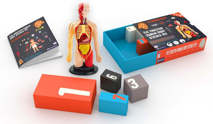 日英美直送  Einstein Human Body Science STEM Experiments Advent Calendar 聖誕倒數日曆 兒童款 聖誕快樂特輯 不參與$900免運 滿$900可加$25免運到順豐站/智能櫃 Christmas Advent Calendars 2026