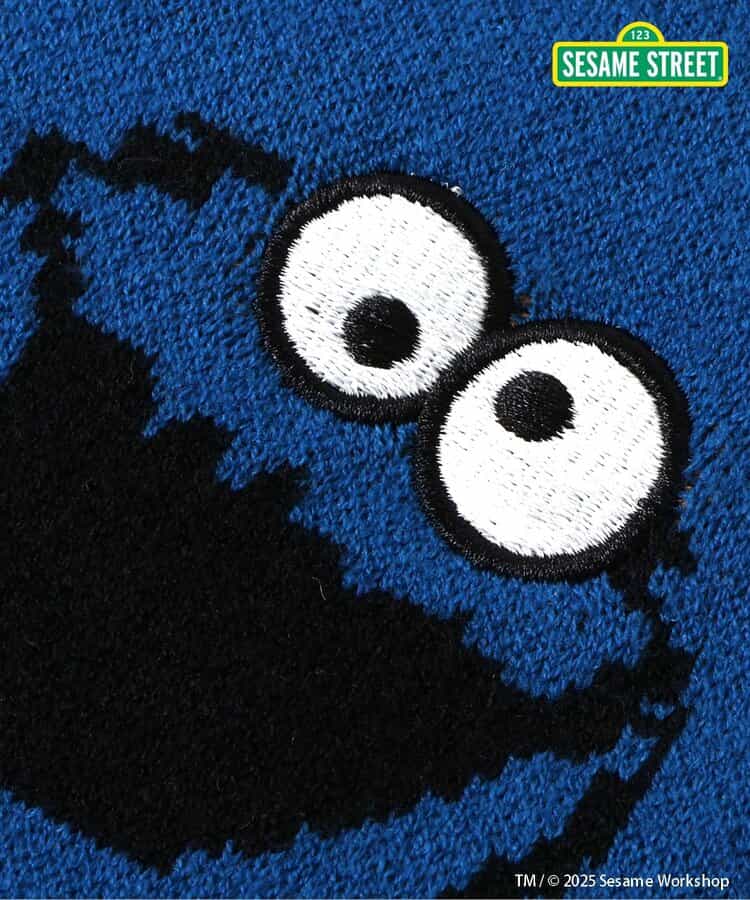 日本童裝 BREEZE x Sesame Street 冷衫 80-140cm 男童款/女童款 冬季 TOPS