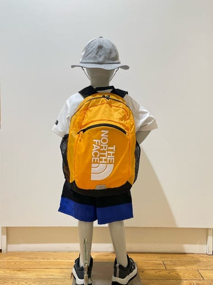 TNF Backpack 15L for Kids (Direct from Japan) Other Brands 