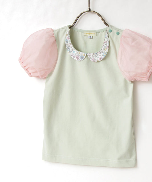 日本童裝 panpantutu 碎花領短袖上衣 80-150cm 女童款 夏季 TOPS