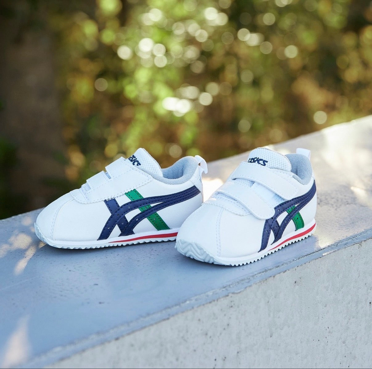 日本直送 ASICS BABY/MINI SL 2 13-22cm 鞋系列