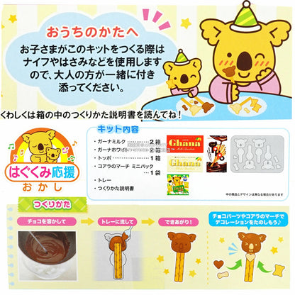 日本直送 樂天DIY朱古力製作套裝 Christmas 聖誕快樂特輯 聖誕限定零食