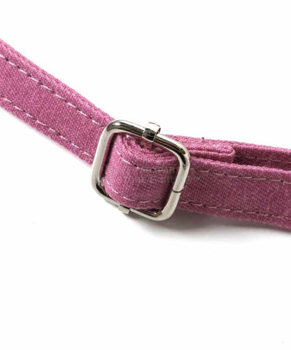 BR#22EE Socks (1 pair, 13-21cm) Direct from Japan 