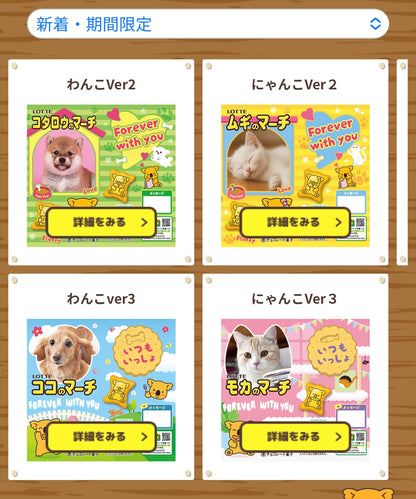 ‼️只此一團‼️11月29日晚上12點截單‼️日本直送 DIY熊仔餅一箱10盒 聖誕/新年/Halloween/新婚/生日/新年/情人節/畢業等主題 聖誕快樂特輯 新年行運發財特輯 Christmas Happy New Year 馬年 限定手信