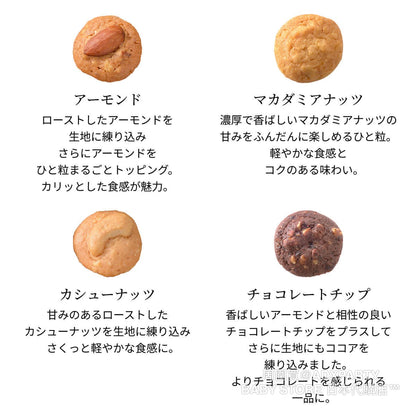 ‼️3/9晚上12點截單‼️日本直送 Morozoff 堅果工藝曲奇禮盒 160/240/315/510g 限定手信 中秋節滿月限定
