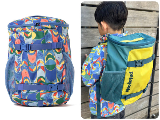 BEAMS x Patagonia Backpack Series (Other Brands) Direct from Japan 
