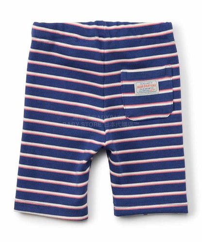 日本童裝 BREEZE 騎行彈力緊身褲 80-130cm 男童款/女童款 夏季 PANTS