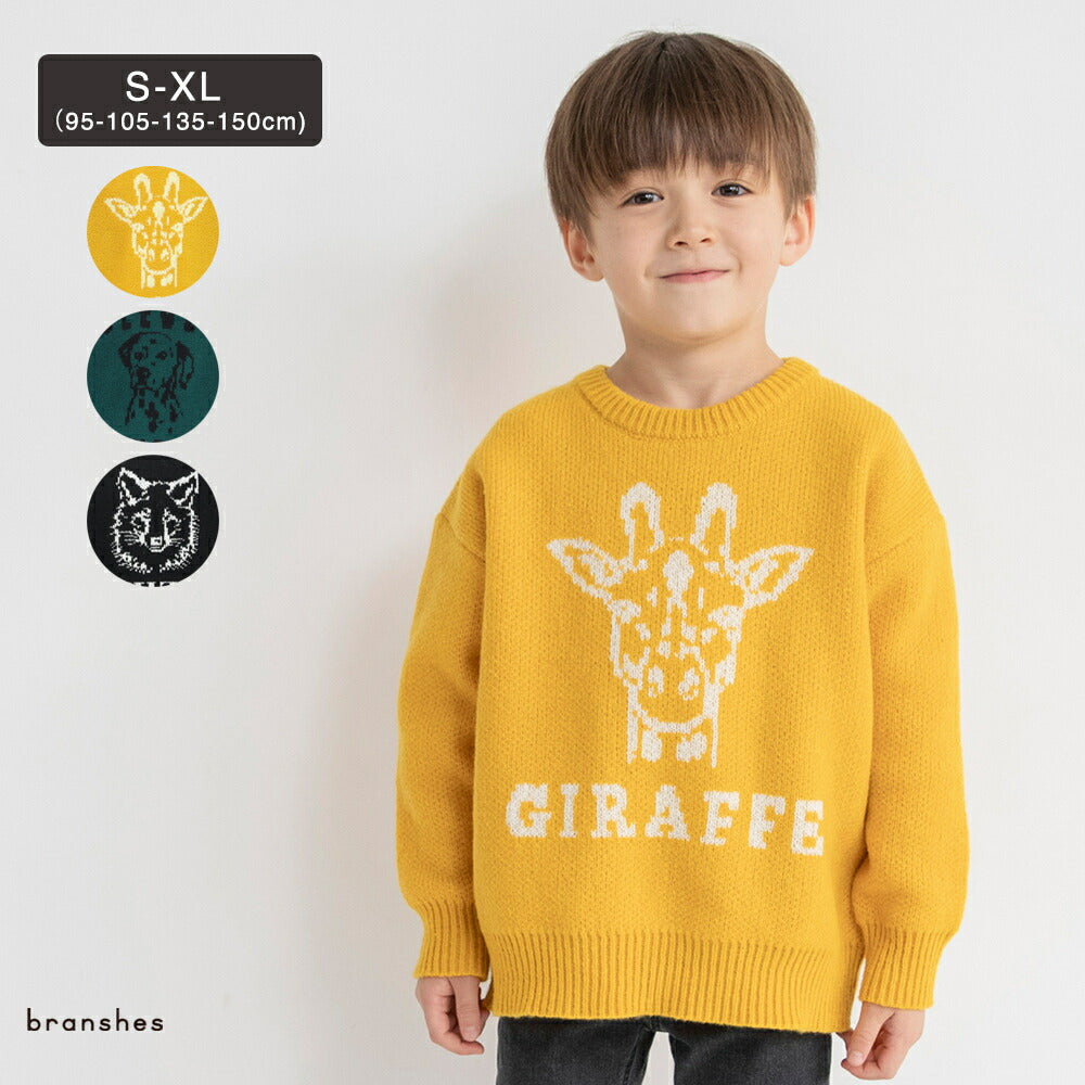 日本童裝 Branshes 針織毛衣 95-150cm 男童款/女童款 冬季 TOPS