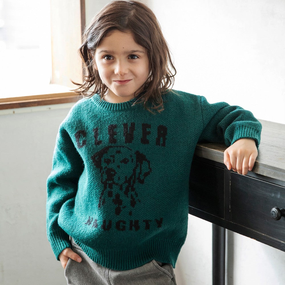 日本童裝 Branshes 針織毛衣 95-150cm 男童款/女童款 冬季 TOPS