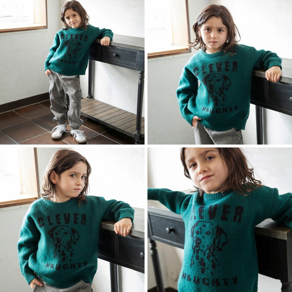 日本童裝 Branshes 針織毛衣 95-150cm 男童款/女童款 冬季 TOPS