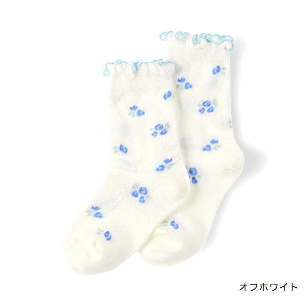 日本直送 Branshes 襪一對 13-21cm 襪系列