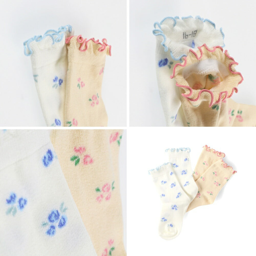 日本直送 Branshes 襪一對 13-21cm 襪系列