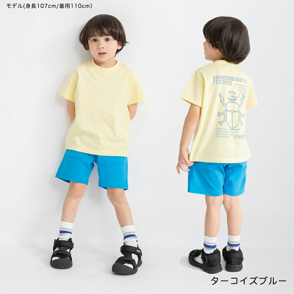日本童裝 Branshes 休閒短褲 80-150cm 男童款 夏季 PANTS