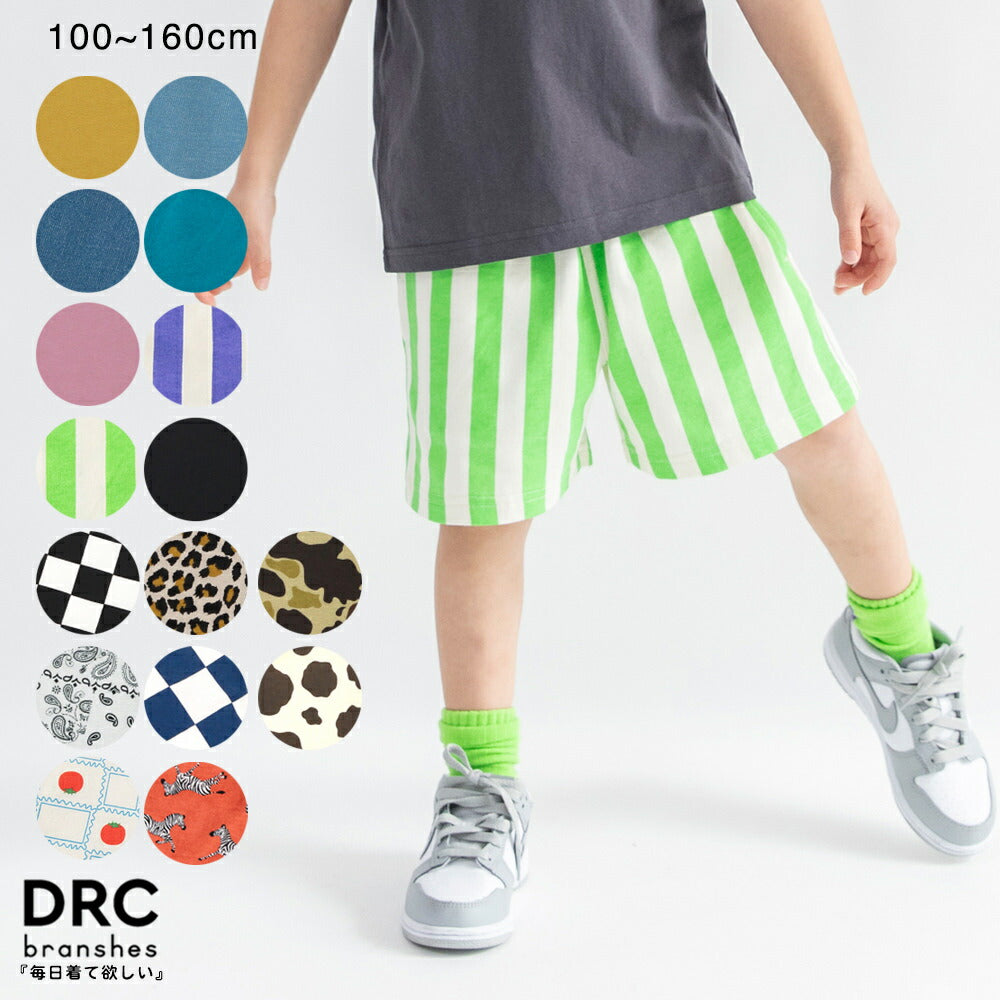 日本童裝 Branshes 彩色短褲 100-160cm 男童款 夏季 PANTS