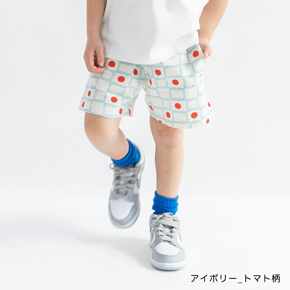 日本童裝 Branshes 彩色短褲 100-160cm 男童款 夏季 PANTS