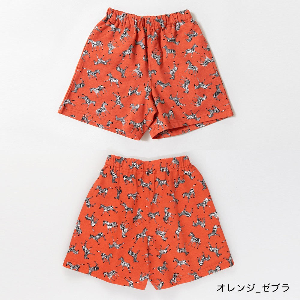 日本童裝 Branshes 彩色短褲 100-160cm 男童款 夏季 PANTS