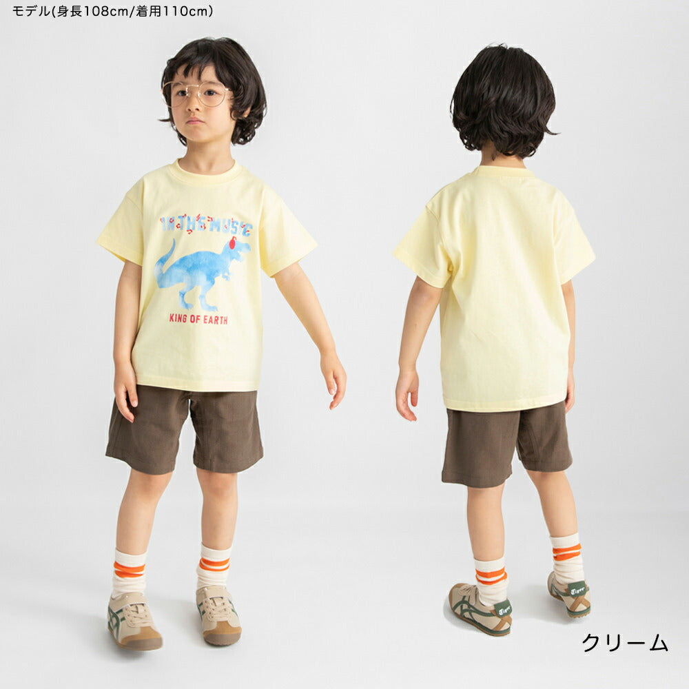 日本童裝 Branshes 印花短袖上衣 80-130cm 男童款 夏季 TOPS