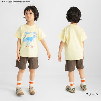 日本童裝 Branshes 印花短袖上衣 80-130cm 男童款 夏季 TOPS
