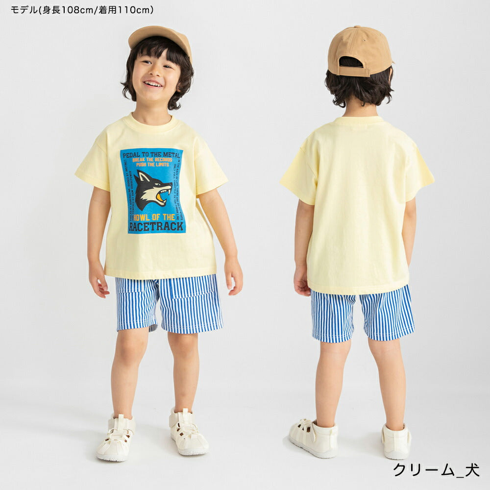 日本童裝 Branshes 印花短袖上衣 80-150cm 男童款 夏季 TOPS