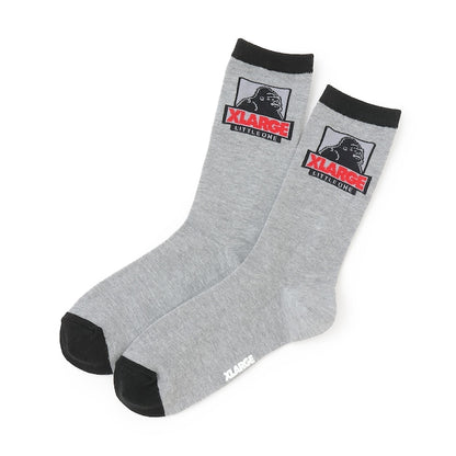 日本直送 XLARGE KIDS 襪一對 13-21cm 襪系列