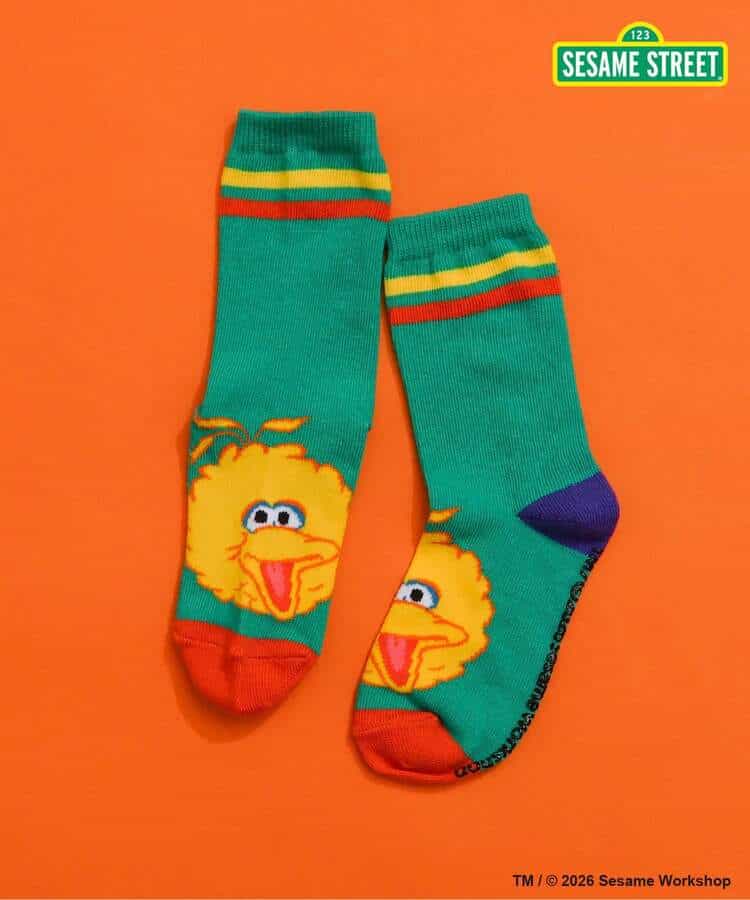 日本直送 BREEZE x SESAME STREET 襪一對 13-21cm 襪系列