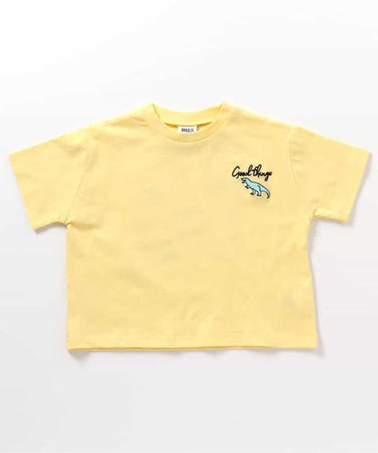 Japanese children's clothing BREEZE exciting pattern top 80-140cm boys/girls TOPS 