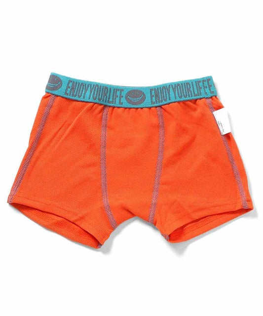 BR#22EE Underwear (100-150cm) Direct from Japan Boys' Underwear Series 