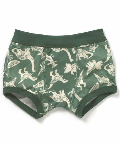 BR#22EE Underwear (100-150cm) Direct from Japan Boys' Underwear Series 