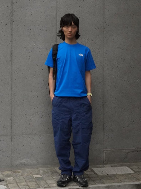 TNF Mt. Fuji pattern backpack (adult size) from Japan Other brands 