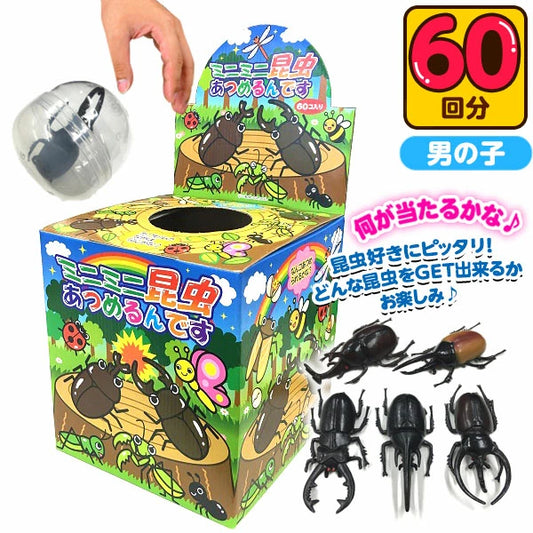 日本直送 昆蟲抽獎箱 60人分 Party 抽獎箱/抽獎板 中秋節/萬聖節