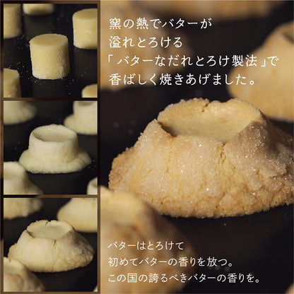 ‼️3/9晚上12點截單‼️日本直送 BUTTER STATE's  THE 經典濃厚奶油火山曲奇禮盒 5枚入 限定手信 中秋節滿月限定