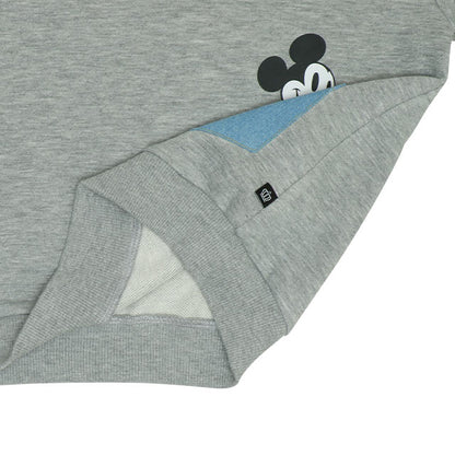 Japanese BDL x Disney parent-child sweatshirts (80-150cm) for boys and girls (spring/summer TOPS) 