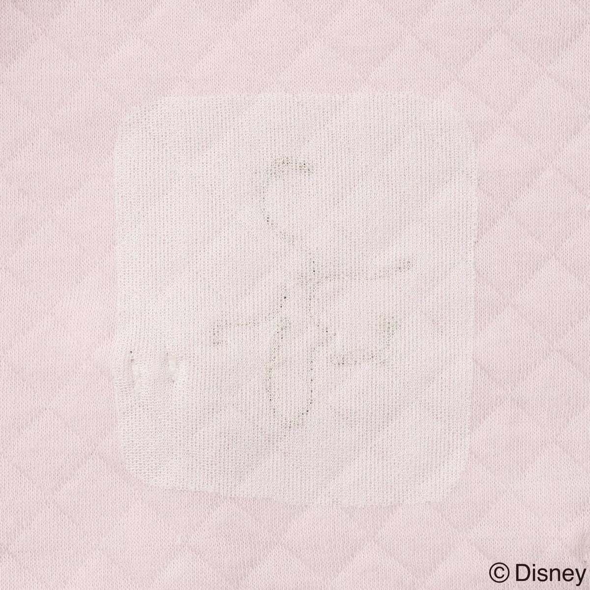 日本童裝 pe#main x Disney Princess 太空棉睡衣 90-130cm 女童款 秋季 TOPS PANTS 睡衣系列