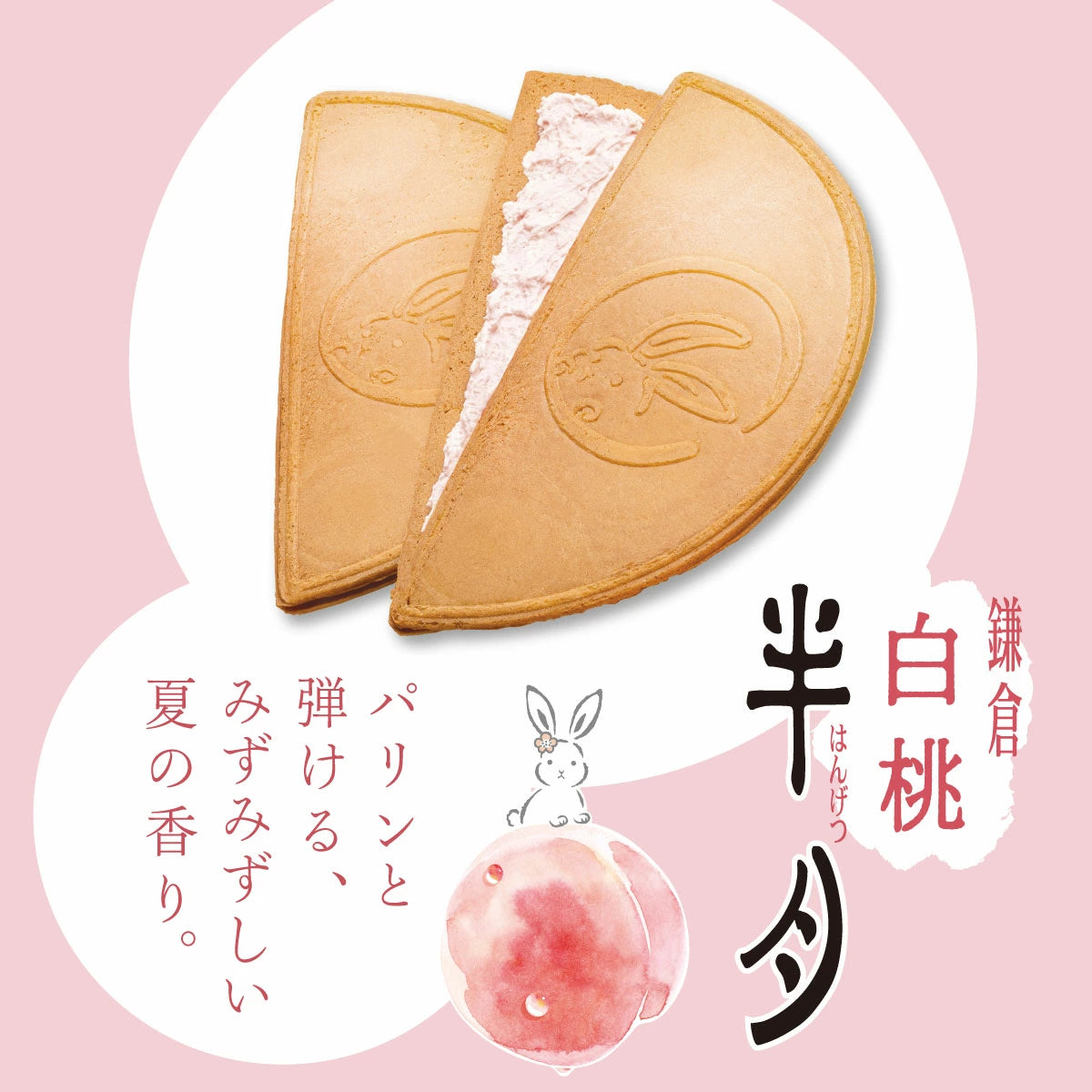 ‼️3/9晚上12點截單‼️日本直送 鎌倉五郎本店 月寄せ 季節限定綜合菓子禮盒 14枚入 限定手信 中秋節滿月限定