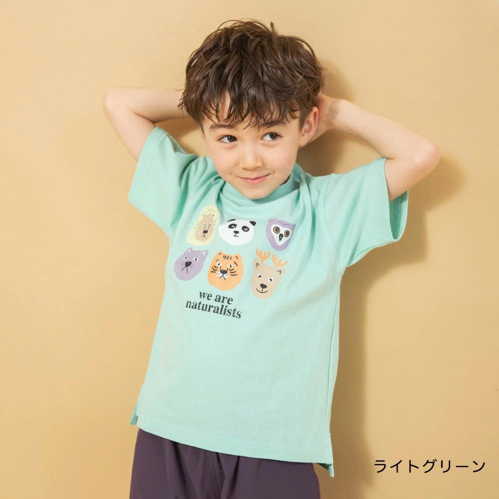 日本童裝 Branshes 印花短袖上衣 90-150cm 男童款 夏季 TOPS