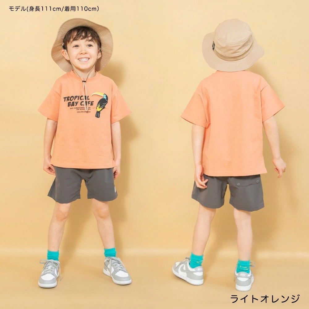 日本童裝 Branshes 印花短袖上衣 90-150cm 男童款 夏季 TOPS