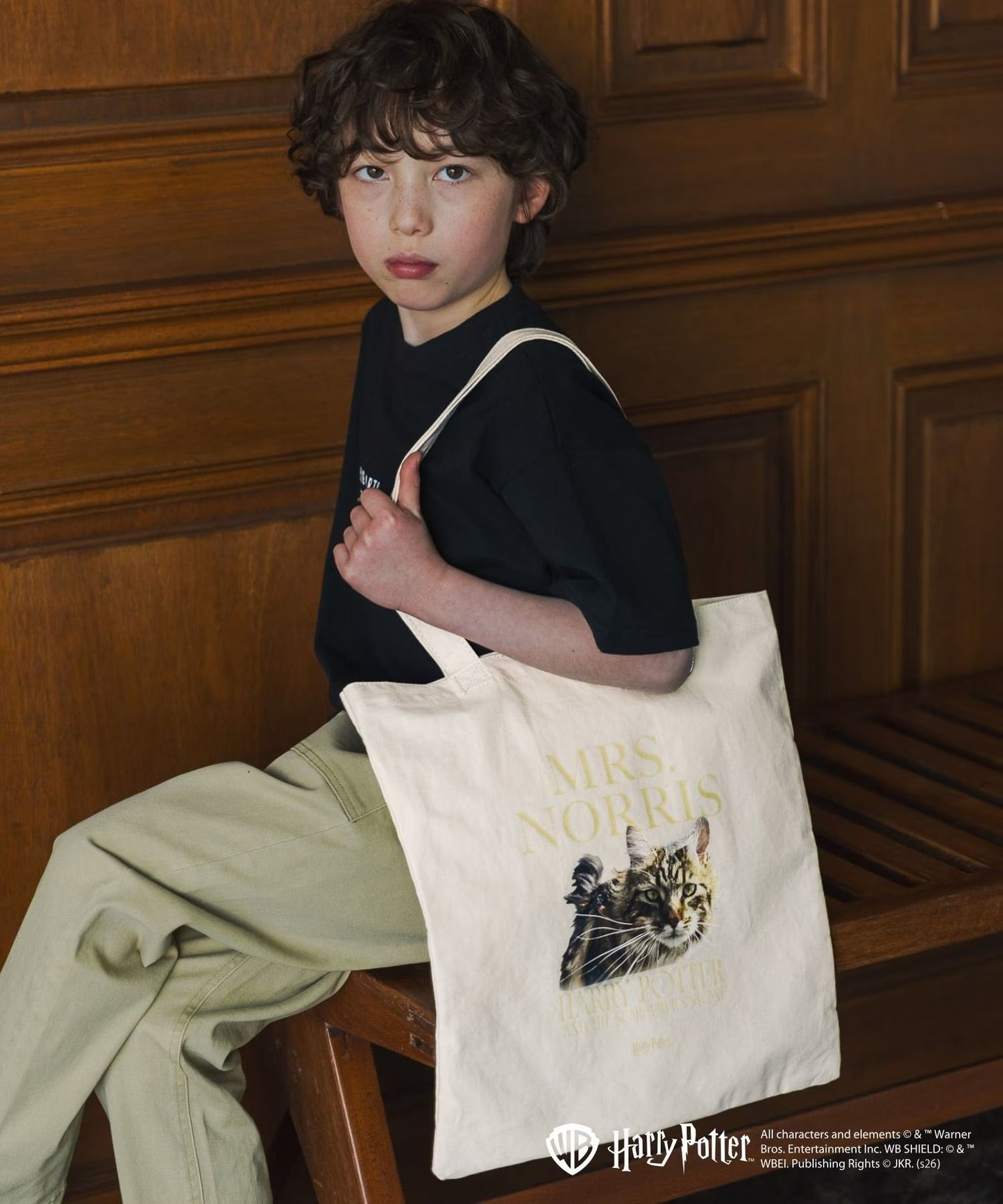 日本直送 GlobalWork x Harry Potter 環保袋 包系列 其他品牌