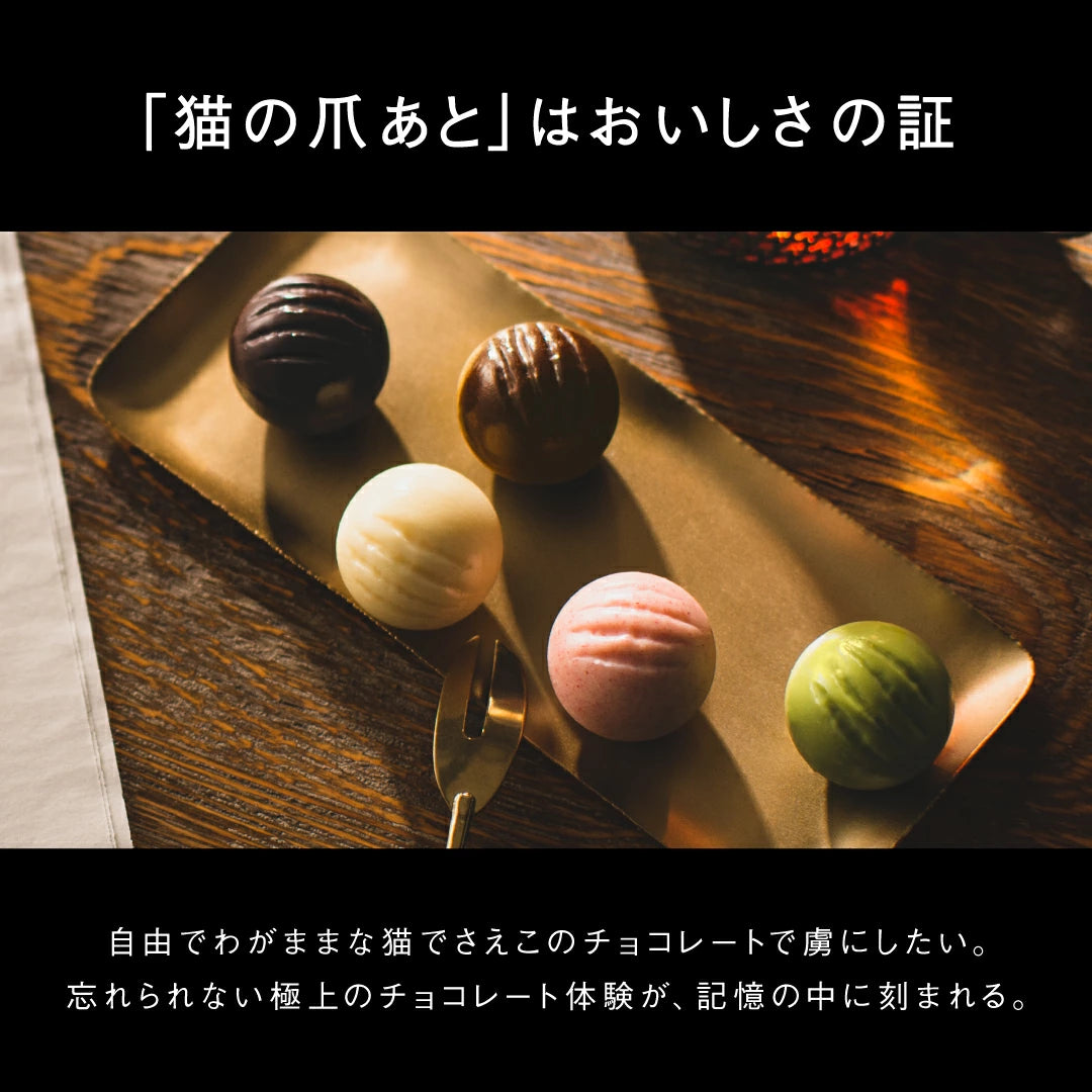 ‼️3/9晚上12點截單‼️日本直送 CACAOCAT 綜合熔岩夾心朱古力球特大鐵盒禮盒 28個入 限定手信 中秋節滿月限定