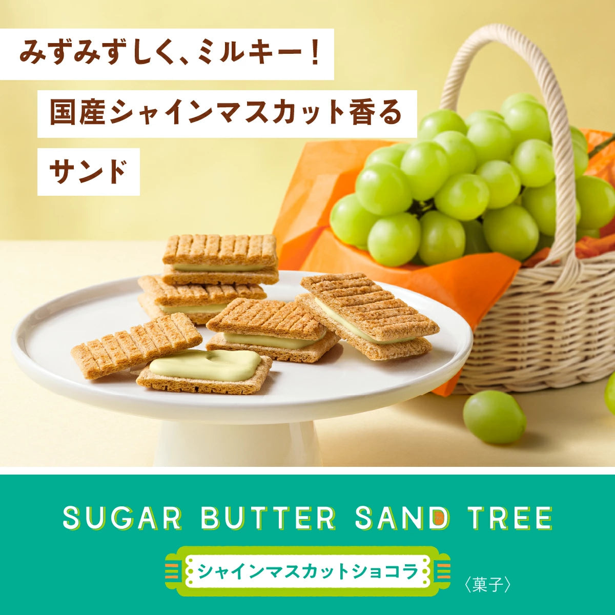 ‼️3/9晚上12點截單‼️日本直送 SUGAR BUTTER TREE 麝香葡萄夾心酥餅 7/10個入 限定手信 中秋節滿月限定