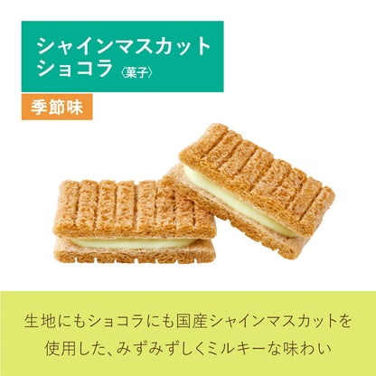 ‼️3/9晚上12點截單‼️日本直送 SUGAR BUTTER TREE 季節限定三色綜合餅乾大禮盒 32/45/55個入 限定手信 中秋節滿月限定