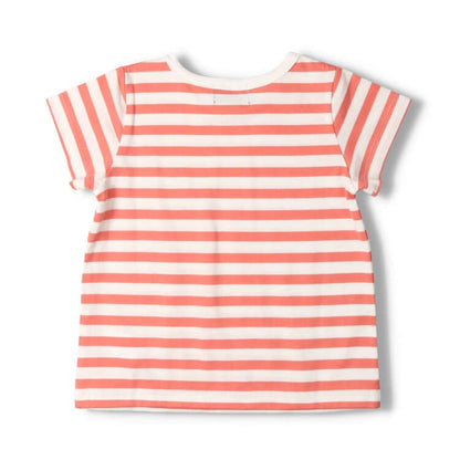 Japanese children's clothing Daddy Oh Daddy Daddico embroidered striped top made in Japan 90-130cm girls summer TOPS 